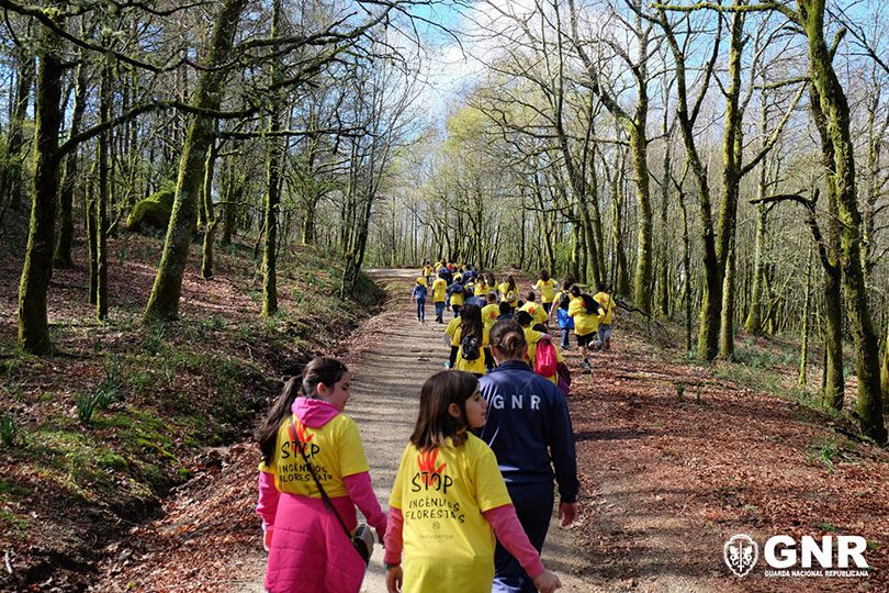 GNR Viana do Castelo - Caminhada pela floresta