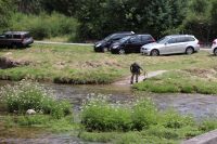 IMG_4103